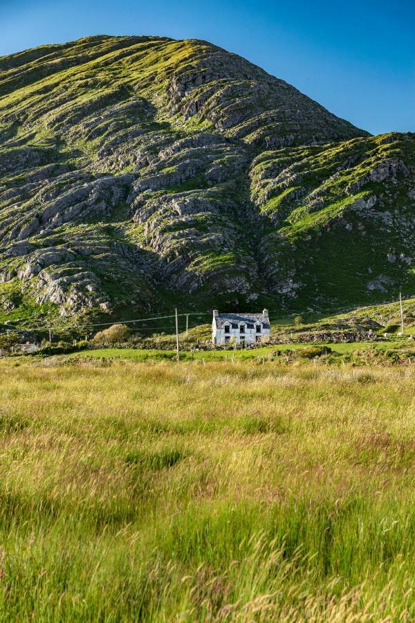 Guest house The Happy Pig Kenmare